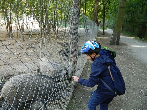 pj4NzzJ28TmMohtjoDNp.jpg