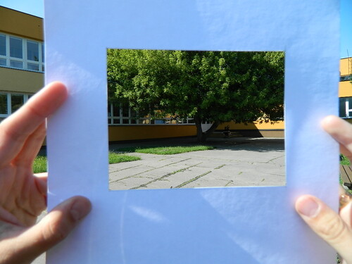 wxSJ0dvKc7MfcTb9tR16.jpg