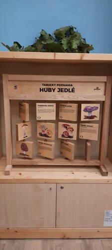 62NFNVi109Z6utu4Vh9E.jpg