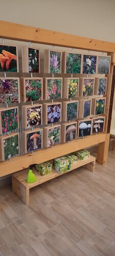 PZWvHZt7hog3ZPgLHDR1.jpg